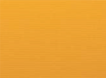 80180537